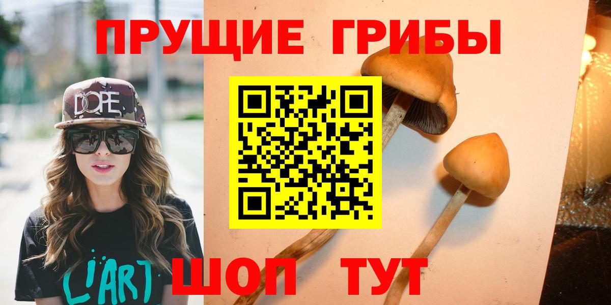 продажа наркотиков  Псилоцибиновые грибы прущие грибы  Вход с VPN  Псилоцибиновые грибы мухоморы  Кропоткин 